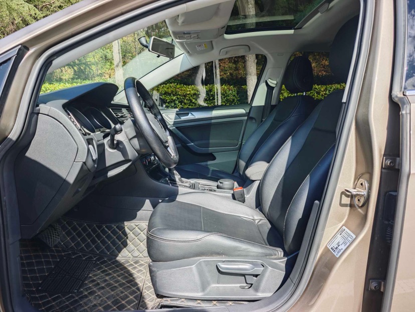 Volkswagen Golf 2020 imagen de coche #6