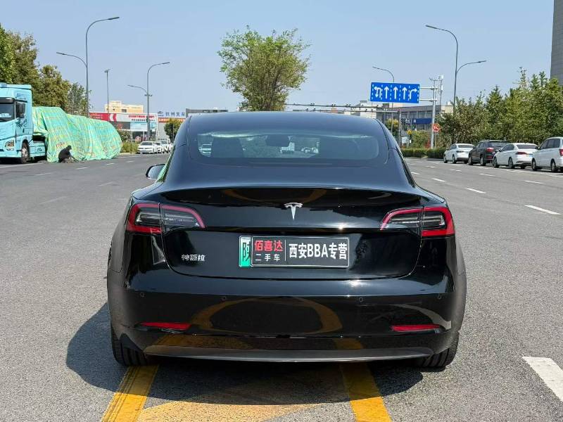 Tesla Model 3 2020 #8 Tesla Model 3 2020 car image #8