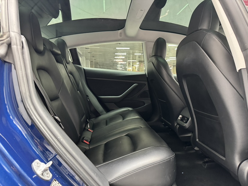 Tesla Model 3 2020 #23 Tesla Model 3 2020 car image #23