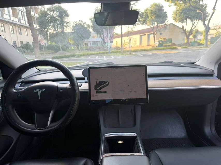Tesla Model 3 2021 #9 Tesla Model 3 2021 imagen de coche #9