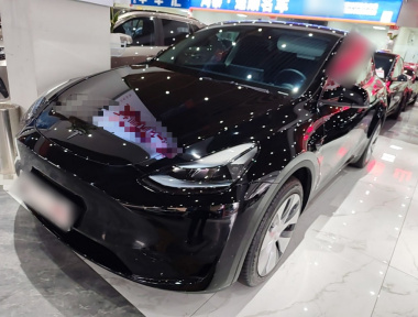 Tesla Model Y 2022 car image 