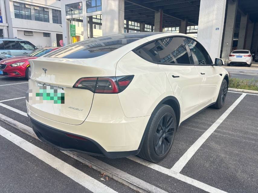 Tesla Model Y 2024 car image #7