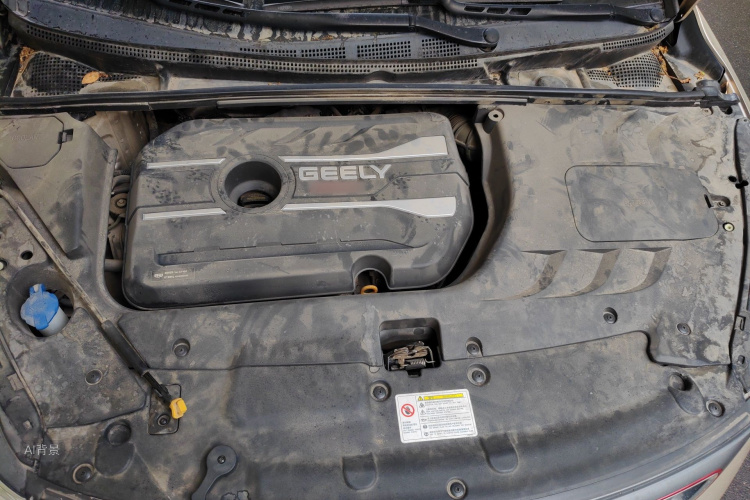 GEELY Emgrand GS 2019 immagine di auto #22