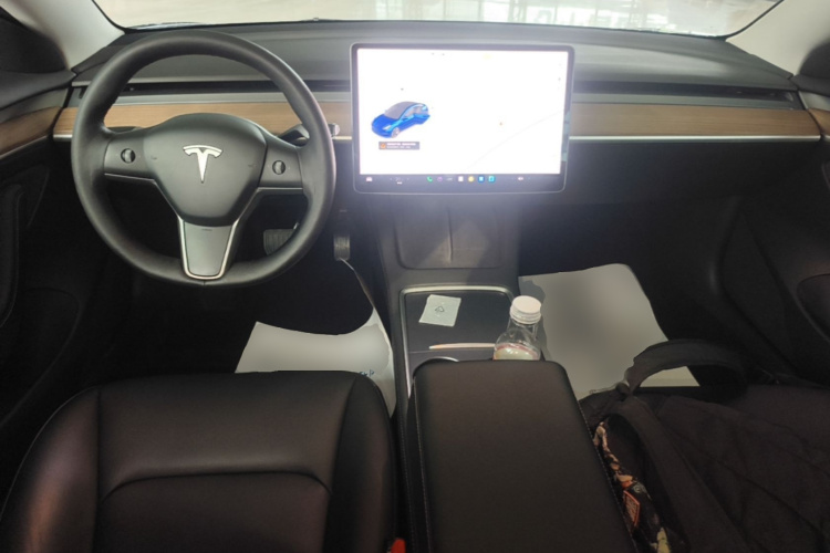 Tesla Model 3 2021 car image #10