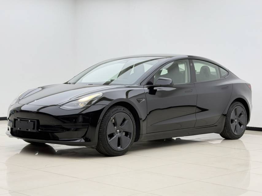 Tesla Model 3 2021 Tesla Model 3 2021 immagine di auto