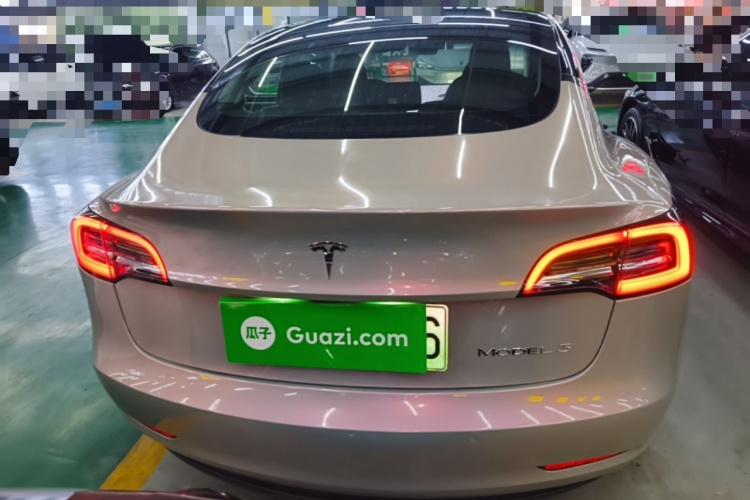 Tesla Model 3 2020 car image #6