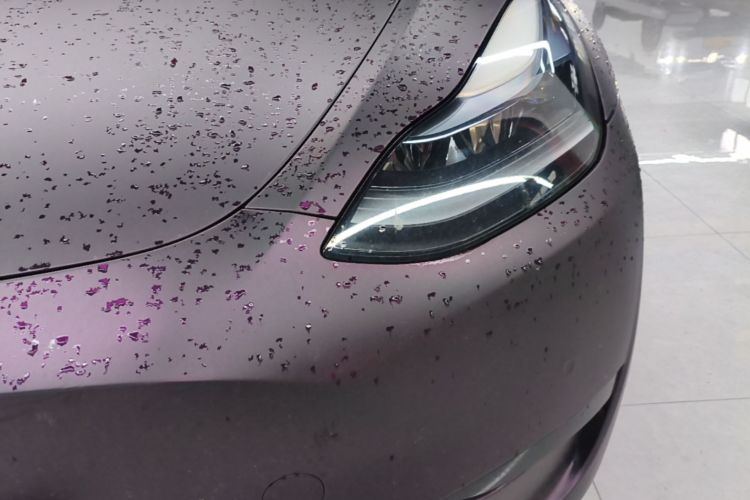 Tesla Model Y 2022 #23 Tesla Model Y 2022 car image #23