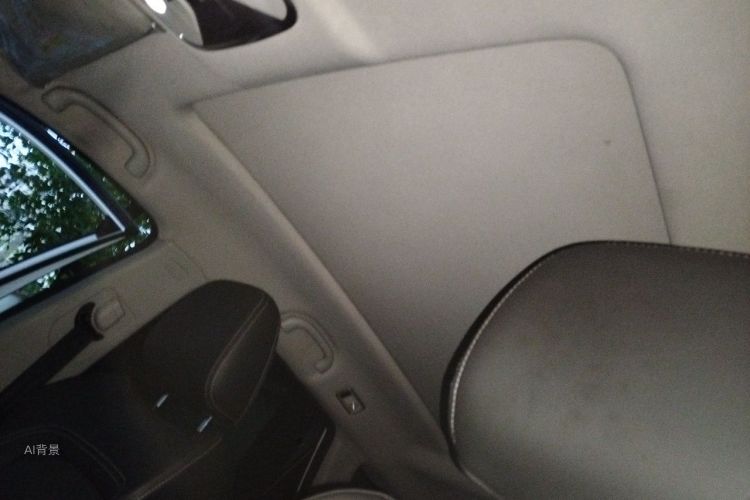 2019 image de voiture #20