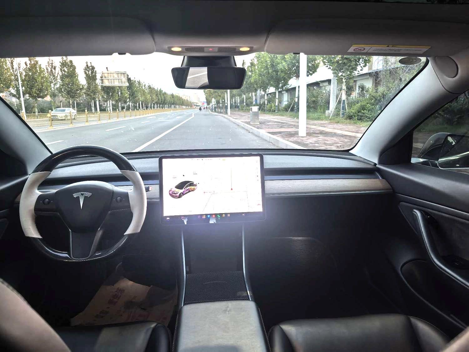 Tesla Model 3 (Imported) 2019 #6 Tesla Model 3 (Imported) 2019 изображение автомобиля #6