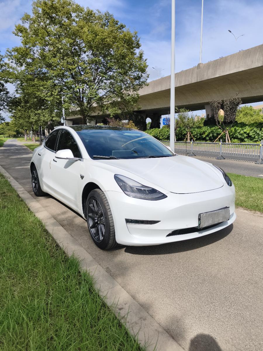 Tesla Model 3 2020 #3 Tesla Model 3 2020 car image #3