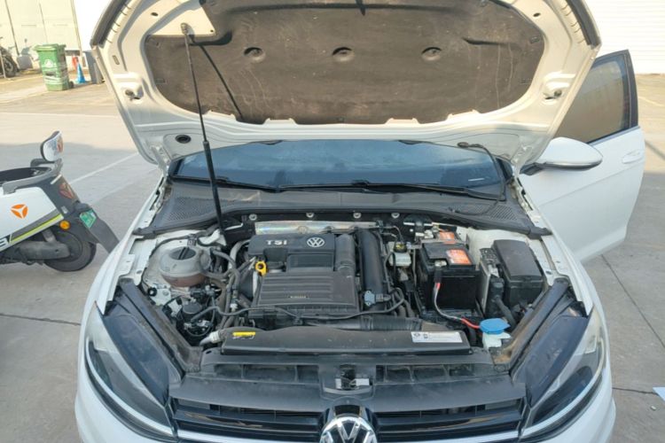 Volkswagen Golf 2019 #20 Volkswagen Golf 2019 car image #20