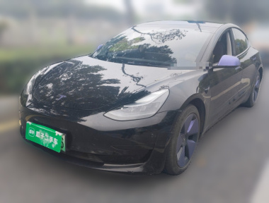 Tesla Model 3 2021 Tesla Model 3 2021 car image