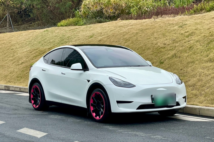 Tesla Model Y 2023 car image #6