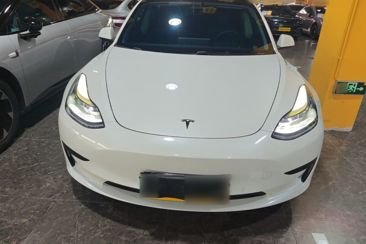 Tesla Model 3 2021 #3 Tesla Model 3 2021 car image #3