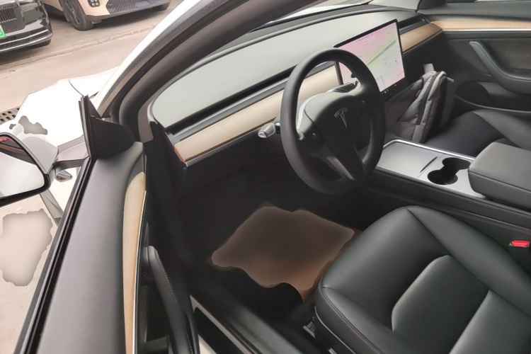 Tesla Model 3 2021 #16 Tesla Model 3 2021 car image #16