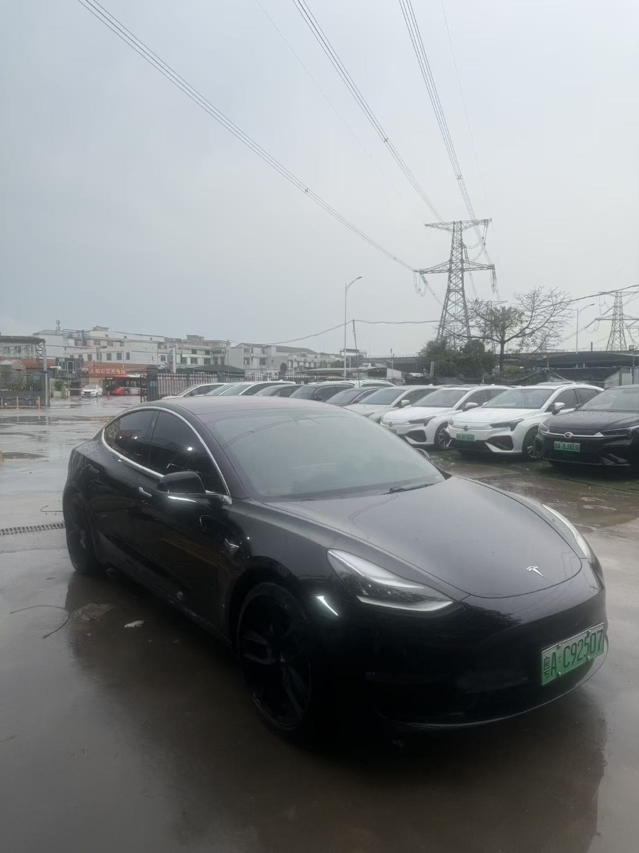 Tesla Model 3 (Imported) 2019 car image #3