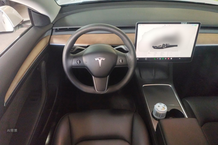Tesla Model 3 2022 car image #12