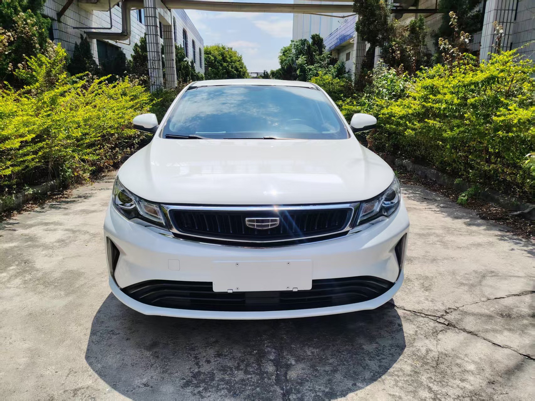 GEELY Emgrand GL 2020 imagem de carro #2