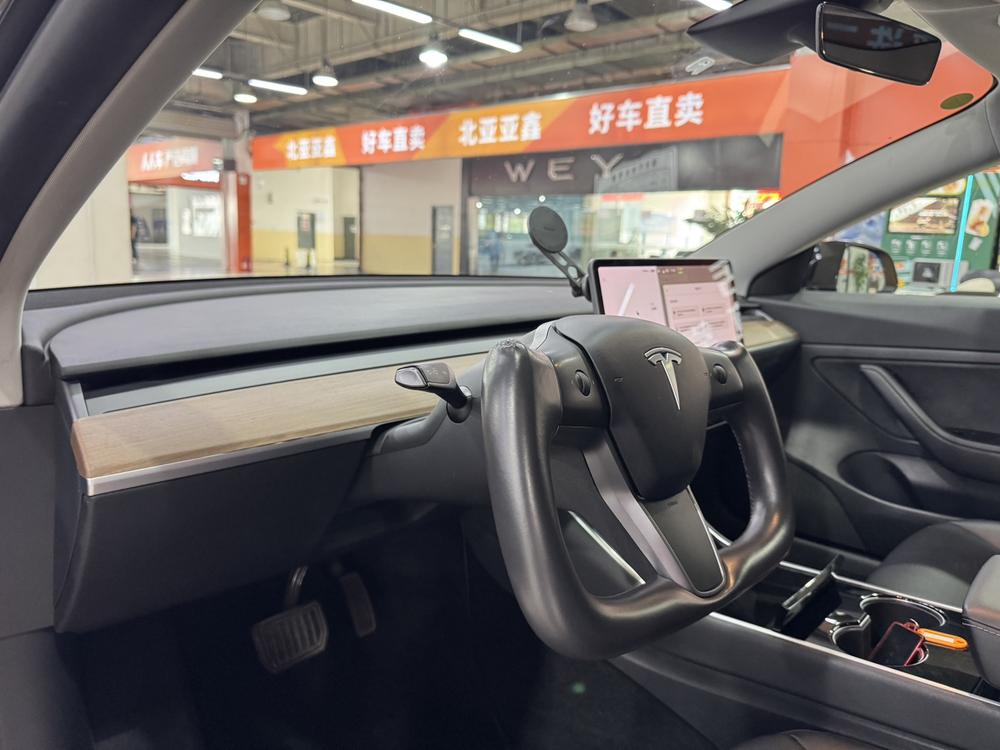 Tesla Model 3 2020 car image #16
