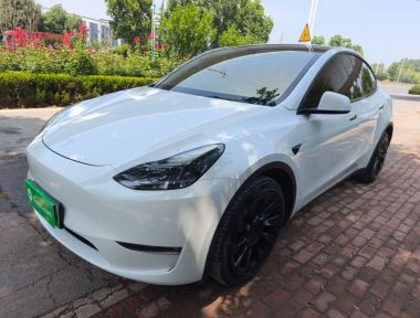 Tesla Model Y 2021 Tesla Model Y 2021 car image