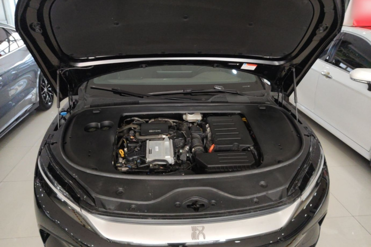 BYD Han 2024 car image #20