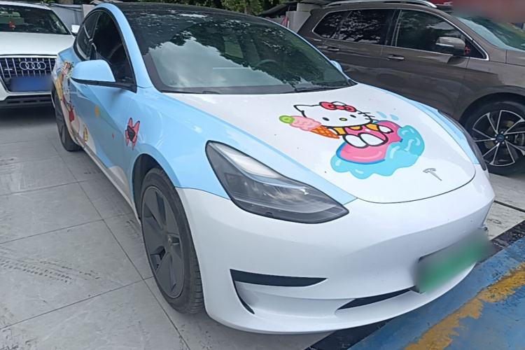 Tesla Model 3 2022 immagine di auto #4