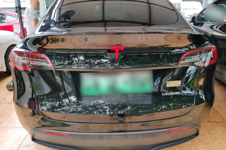 Tesla Model Y 2023 #6 Tesla Model Y 2023 car image #6