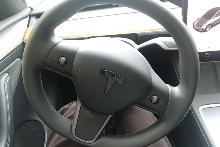 Tesla Model Y 2022 car image #11