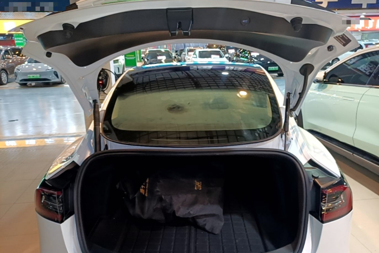 Tesla Model 3 2021 #19 Tesla Model 3 2021 car image #19