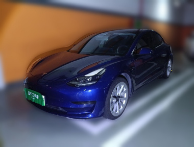 Tesla Model 3 2021 car image 