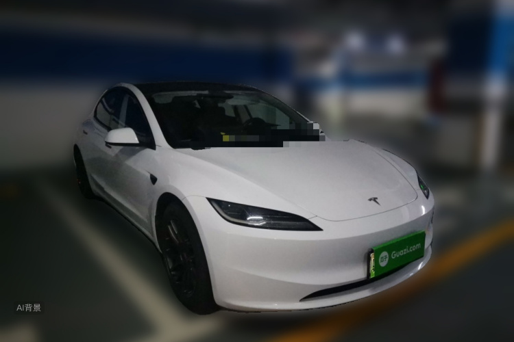 Tesla Model 3 2023 immagine di auto #4