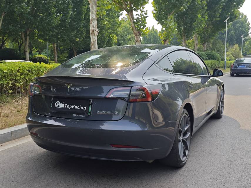 Tesla Model 3 2021 #9 Tesla Model 3 2021 car image #9