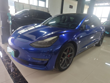 Tesla Model 3 2021 Tesla Model 3 2021 car image
