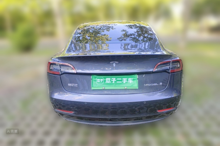 Tesla Model 3 2020 car image #6