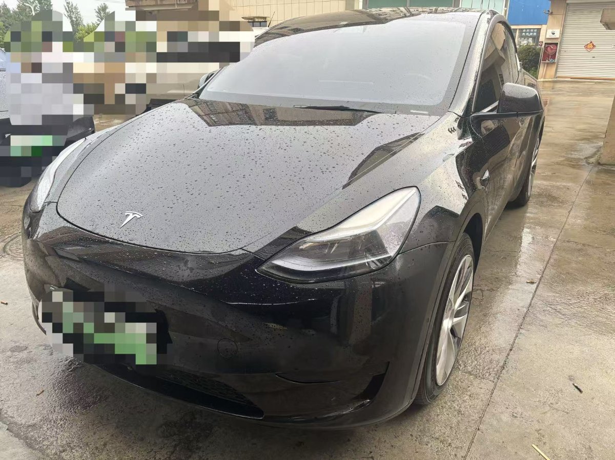 Tesla Model Y 2021 Tesla Model Y 2021 car image