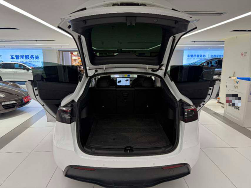Tesla Model Y 2023 #8 Tesla Model Y 2023 car image #8
