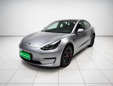 Tesla Model 3 2021 Tesla Model 3 2021 car image