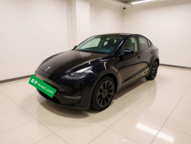 Tesla Model Y 2021 Tesla Model Y 2021 car image