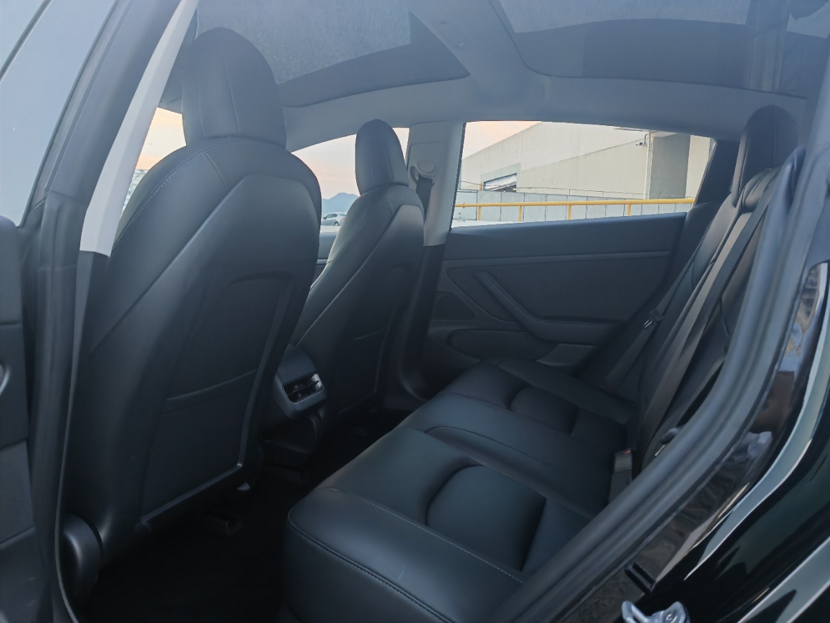Tesla Model 3 2020 #9 Tesla Model 3 2020 car image #9