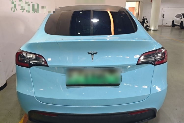 Tesla Model Y 2021 car image #6