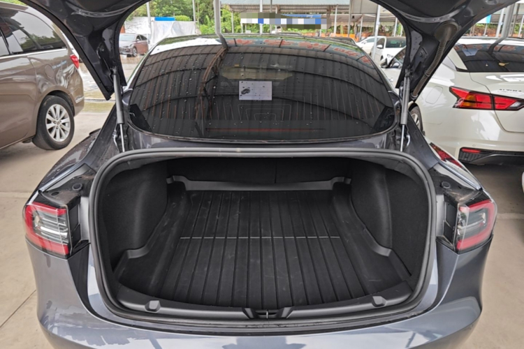 Tesla Model 3 2020 car image #19