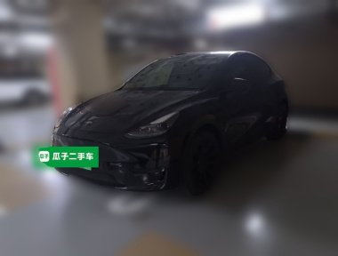 Tesla Model Y 2022 car image 