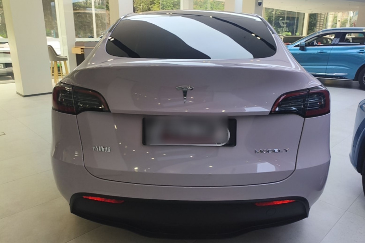 Tesla Model Y 2023 #6 Tesla Model Y 2023 car image #6