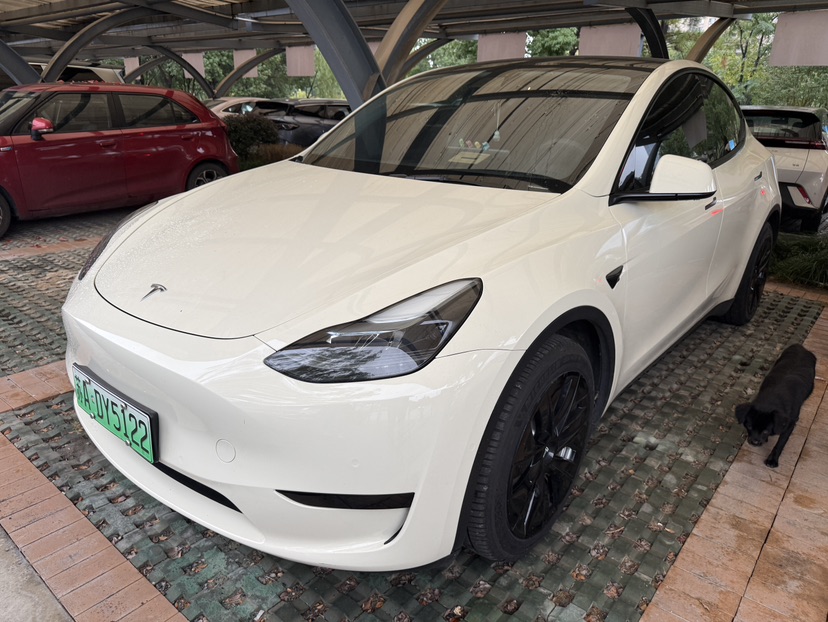 Tesla Model Y 2022 #2 Tesla Model Y 2022 imagen de coche #2
