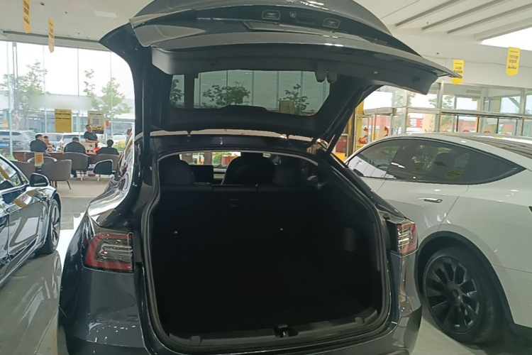 Tesla Model Y 2021 #19 Tesla Model Y 2021 car image #19