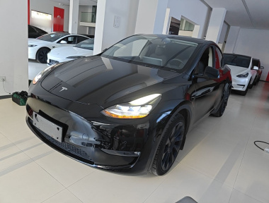 Tesla Model Y 2021 car image 