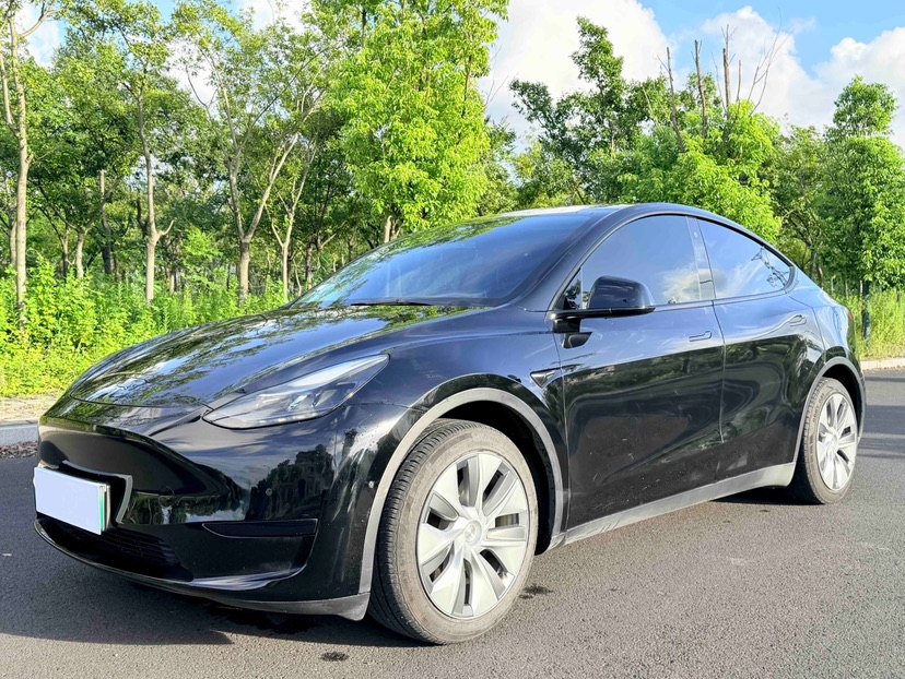 Tesla Model Y 2022 Tesla Model Y 2022 immagine di auto