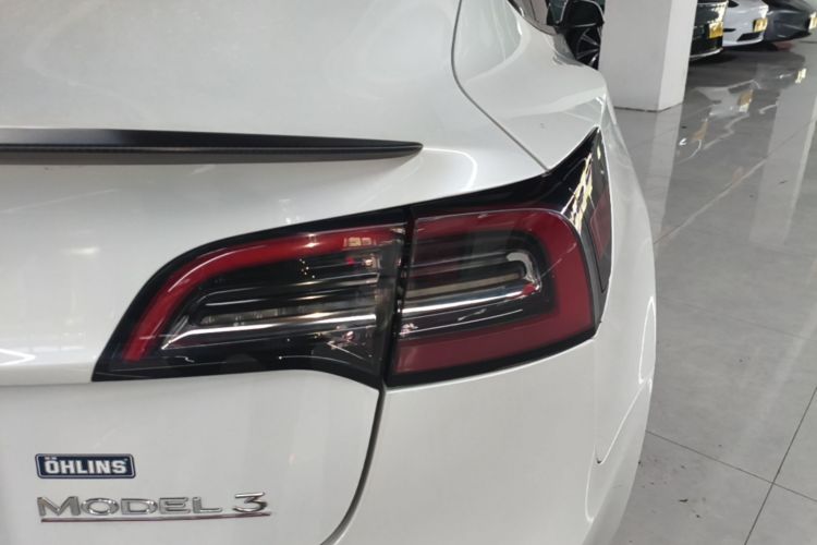 Tesla Model 3 2021 car image #8