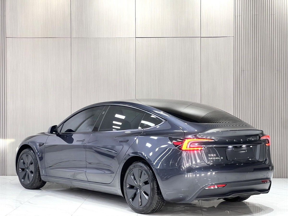 Tesla Model 3 2025 car image #10