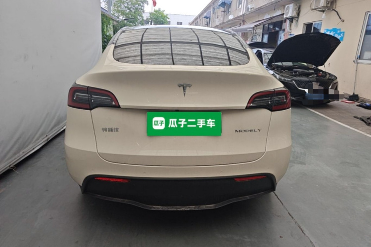 Tesla Model Y 2021 immagine di auto #6